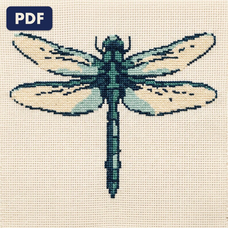 A finished a dragonfly cross stitch piece, stitched and framed on a wall