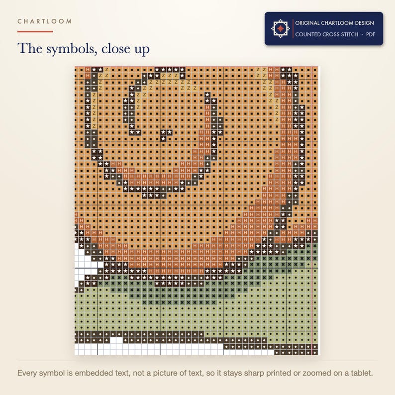 Close up of the printed symbols and grid on the snail express cross stitch chart