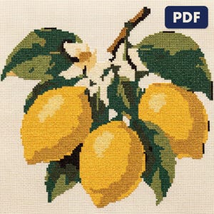 A chart from the Mediterranean Summer bundle shown worked and framed