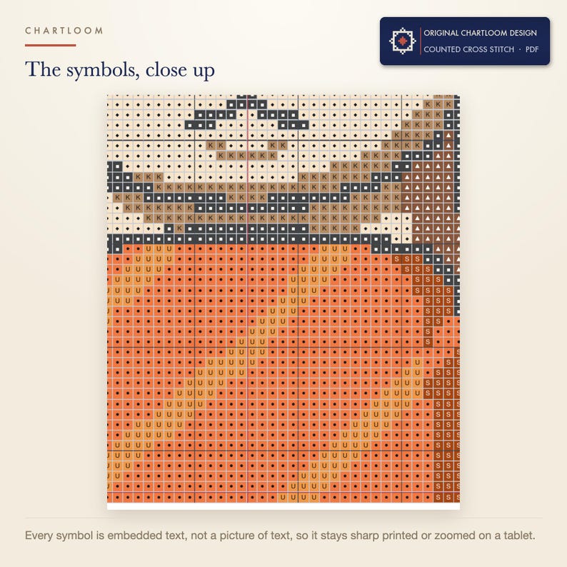 Close up of the printed symbols and grid on the otter cross stitch chart