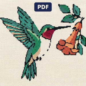 A finished a hummingbird cross stitch piece, stitched and framed on a wall