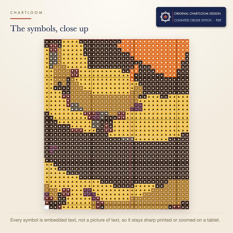 Close up of the printed symbols and grid on the bee air traffic control cross stitch chart