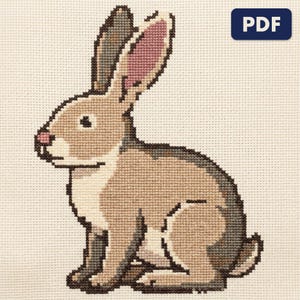A finished a rabbit cross stitch piece, stitched and framed on a wall