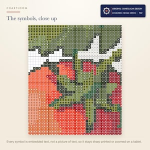 Close up of the printed symbols and grid on the vine tomatoes cross stitch chart