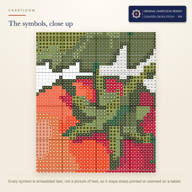 Close up of the printed symbols and grid on the vine tomatoes cross stitch chart