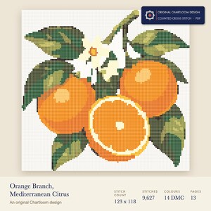 an orange branch cross stitch chart shown as a colour preview with the stitch count and thread count