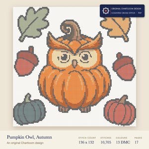 owl cross stitch chart shown as a colour preview with the stitch count and thread count