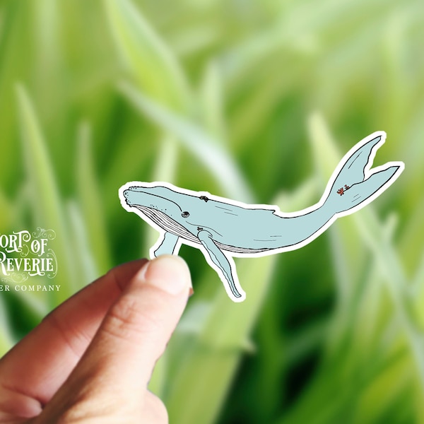 Whale Stickers, Sea Life Stickers, Wildlife Stickers, Hand Drawn Die Cut Sticker, Laptop Sticker, Waterproof Vinyl Decal