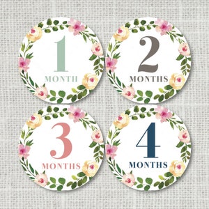 Baby Girl Monthly Stickers, Baby Month Stickers, Floral Baby Girl First Year 12 Month Growth Sticker, Photo Props, Baby Shower Gift 1015
