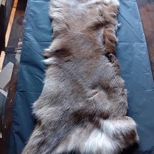 Könnte beinhalten: Ein natürliches Tierfell mit einem dichten Haarkleid in den Farben Braun, Grau und Weiß. Das Fell weist eine abwechslungsreiche Textur mit längeren, gröberen Grannenhaaren und einer weicheren Unterwolle auf, die unregelmäßige Muster zeigt.