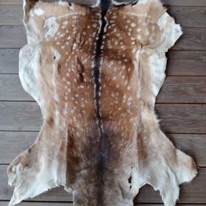 Large fallow deer skin hide pelt area rug carpet taxidermy natural real sourced from legitimate hunting senson in Europe.