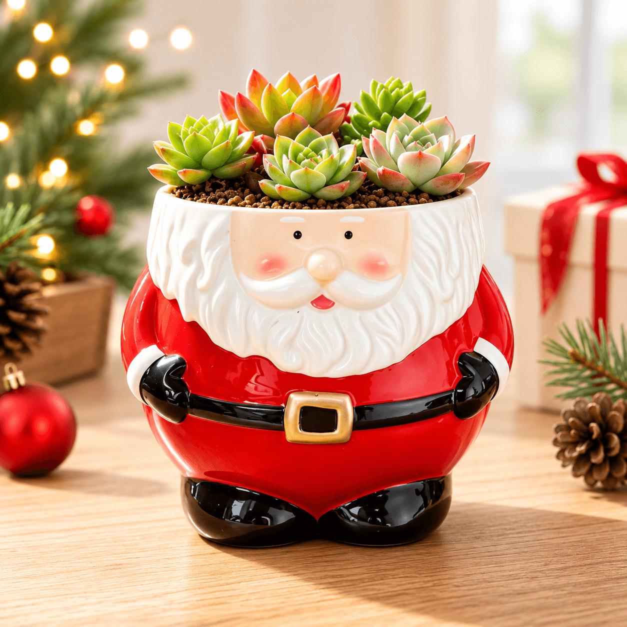 Weihnachten blumentopf