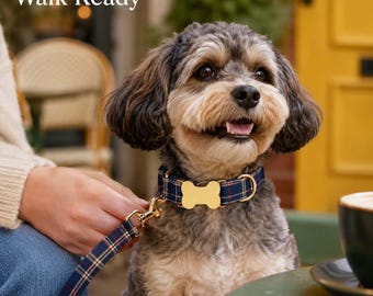 Collar personalizado a cuadros para perro con nombre y número de teléfono, collar ajustable para mascotas para paseos diarios, regalo de cumpleaños para cachorros.