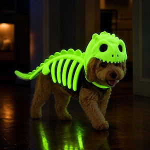 Puede incluir: Un disfraz para mascota con un dise&ntilde;o de esqueleto de dinosaurio en color verde ne&oacute;n brillante, que incluye una capucha y una cola. El disfraz presenta un patr&oacute;n de caja tor&aacute;cica esquel&eacute;tica que destaca sobre el lomo y la cabeza del perro.