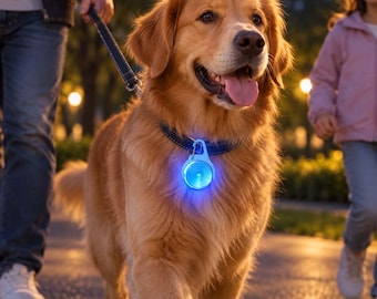 Collar con luz recargable para perros, ideal para paseos nocturnos. Regalo de Navidad para dueños de perros y regalo de cumpleaños para papás perrunos.