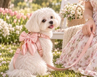 Conjunto rosa palo para pasear al perro con arnés, collar, correa y lazo, regalo de cumpleaños para mamás perrunas.