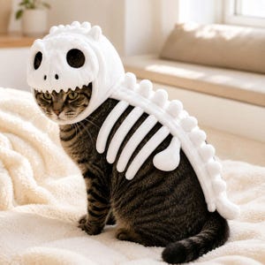 Puede incluir: Un disfraz de esqueleto de dinosaurio de felpa blanca para gato. El disfraz cuenta con una capucha con forma de cr&aacute;neo de dinosaurio con grandes aberturas para los ojos y una pieza dorsal con costillas y placas redondeadas.