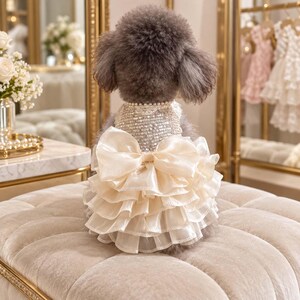 Può includere: Un cagnolino dal pelo grigio soffice indossa un vestito senza maniche. Il corpetto è ricoperto di paillettes argentate con uno scollo decorato da perle. La gonna presenta strati di balze in organza color crema e un grande fiocco in raso.
