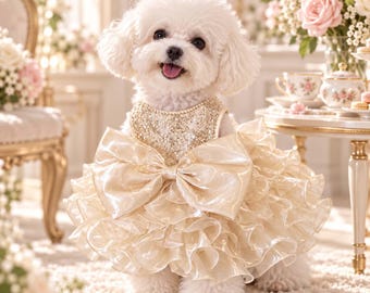 Könnte beinhalten: Ein kleiner weißer Hund trägt ein cremefarbenes Kleid mit einem Paillettenoberteil und einer großen Satinschleife in der Taille. Der Rock besteht aus mehreren Lagen gerüschtem Stoff, was dem Kleidungsstück für das Tier Volumen verleiht.