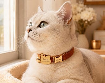 Collar de terciopelo personalizado para gato con nombre y placa telefónica grabados, collar de identificación para mascotas con cascabel dorado, regalo para gatitos para mamás de gatos, regalo para el día de la adopción