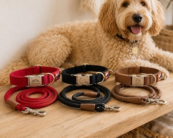 Conjunto de collar y correa personalizados para perros, hebilla con nombre grabado a medida, conjunto ajustable para pasear mascotas, regalo para amantes de los perros.