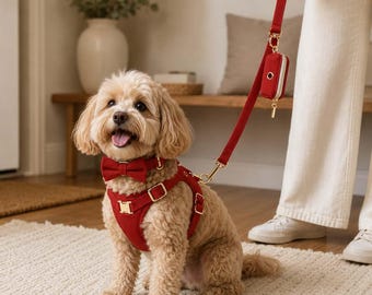 Conjunto de collar de pana roja para perro con correa, arnés, pajarita y soporte para bolsas de excrementos, lindo regalo para pasear cachorros, regalo de cumpleaños o para las fiestas.