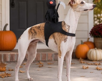 Disfraz de la Parca para perros, disfraz de jinete para mascotas de Halloween, disfraz espeluznante para perros y gatos, atuendo para pedir dulces, regalo para dueños de mascotas.
