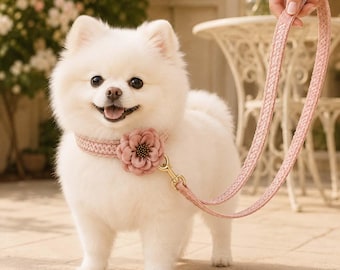 Conjunto personalizado de collar y correa de encaje para perro, collar rosa con flor, nombre y teléfono, accesorio para bodas caninas, regalo de cumpleaños para mamás perrunas.