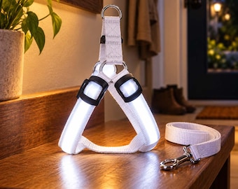 Arnés LED de doble cara para perros pequeños, medianos y grandes, correa pectoral luminosa para mascotas, equipo de seguridad para paseos nocturnos, regalo de cumpleaños para amantes de las mascotas.