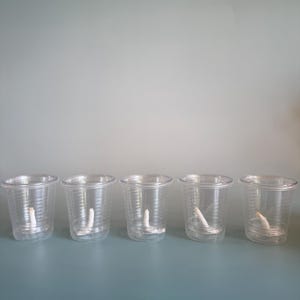 May include: Five clear, empty plastic cups arranged in a horizontal row. Each cup features a white, cylindrical wick positioned upright at the center of the base, designed for candle making or similar craft projects.