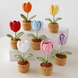 Può includere: Una collezione di sette piccoli fiori di tulipano all'uncinetto in singoli vasi color marrone chiaro. Ogni tulipano presenta uno stelo e foglie verdi con petali in colori vivaci tra cui arancione, giallo, rosso, azzurro, bianco, rosa e viola.