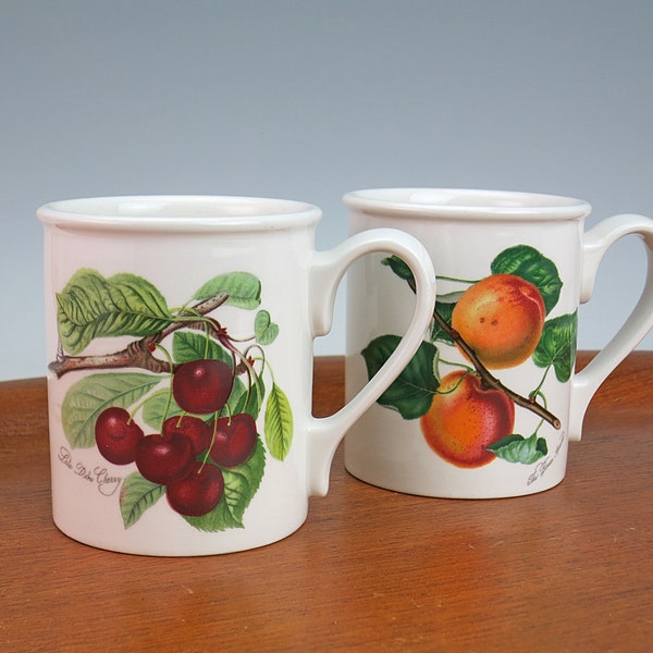 Choice of Portmeirion Pomona Breakfast Mug - Susan Williams-Ellis Design Botanical Illustration Coffee Mug - Late Duke Cherry, Roman Apricot