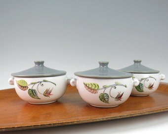 Set of 3 Denby Spring Individual Soups or Casseroles with Lids - Denby Serving Bowls, Albert Colledge Design Denby Pottery, Denby-Langley