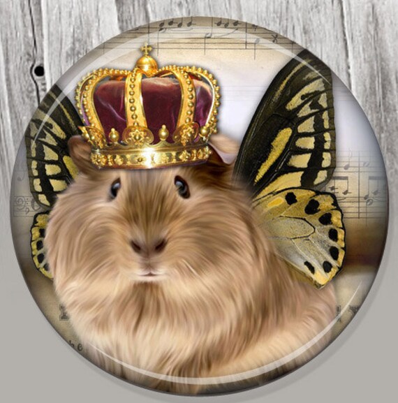 Guinea Pig Shabby Chic Pocket Mirror Photo Mirror Compact Etsy