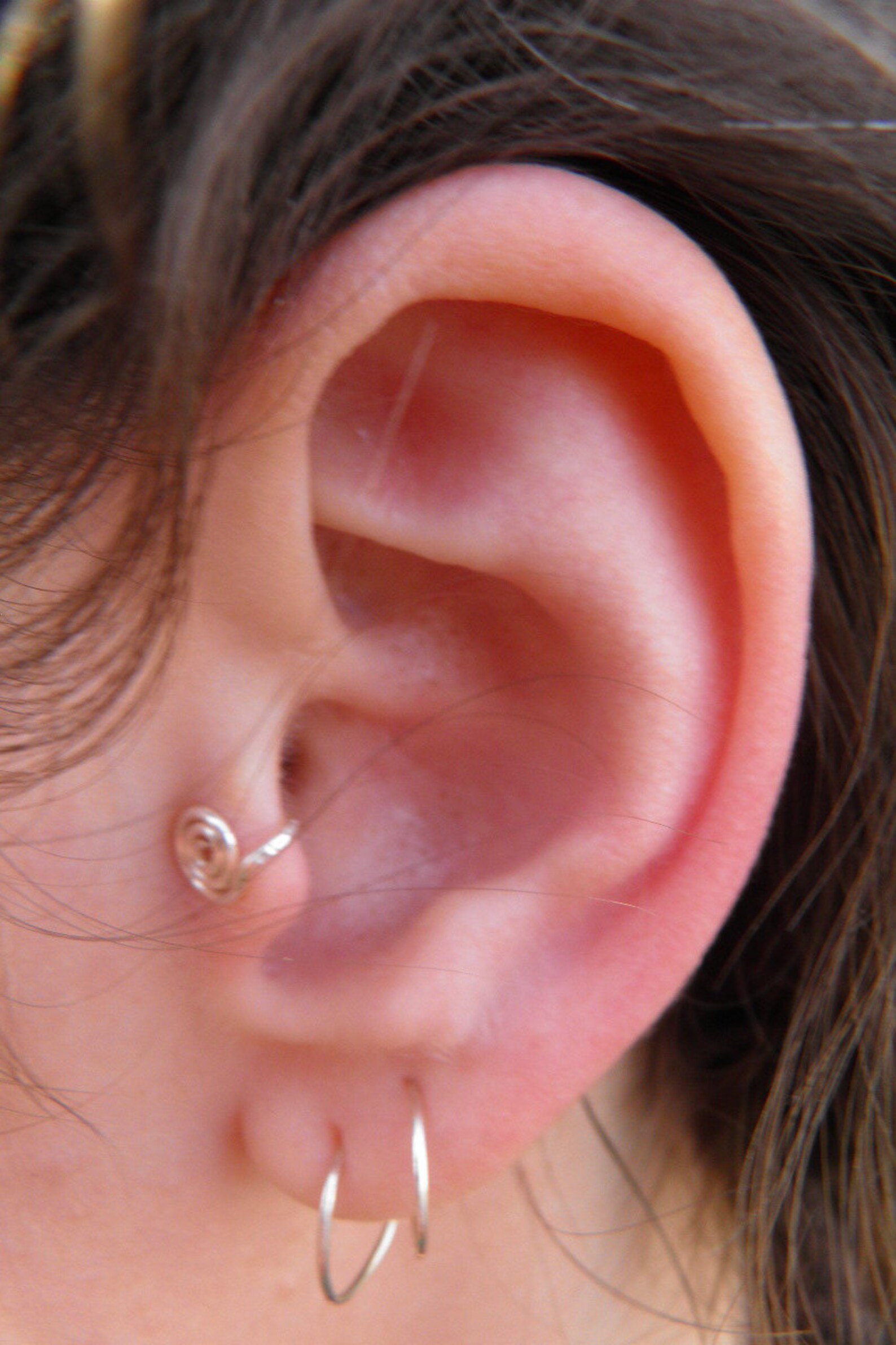 Tragus Ear Cuff... tumble Weed Silver Wire Wrapped Etsy