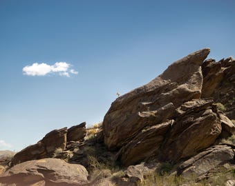 Bighorn Sheep Print, Tahquitz Canyon Desert Photography