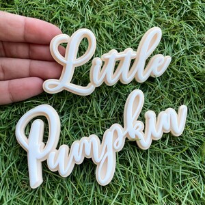 Puede incluir: Dos letreros en escritura cursiva superpuesta con las palabras Little y Pumpkin. Cada letrero tiene una fuente blanca en relieve sobre un fondo color melocotón claro. Las letras son lisas y redondeadas, creando un efecto dimensional.