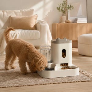 May include: A light-coloured, fluffy dog eats from a white and grey automatic pet feeder. The device features a clear water reservoir, a food storage container with a visible window, and a stainless steel bowl integrated into the base unit.