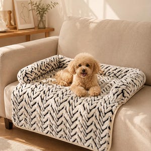 Puede incluir: Un perro pequeño de pelaje rizado color marrón claro descansa sobre una cama rectangular para mascotas con bordes elevados. La cama presenta un patrón de felpa en zigzag blanco y negro y está colocada sobre un sofá beige, cubriendo el asiento.