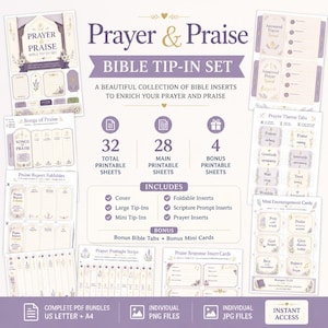 May include: A Prayer & Praise Bible tip-in set featuring 32 printable sheets, including 28 main and 4 bonus pages. The collection contains covers, foldable inserts, scripture prompts, prayer inserts, tabs, and mini encouragement cards in purple.