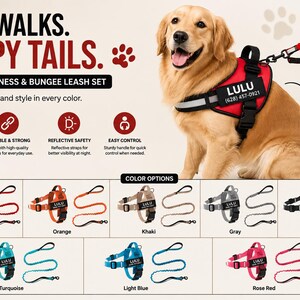 May include: A no-pull dog harness and bungee leash set featuring a custom name patch. The set is available in red, orange, khaki, gray, black, turquoise, light blue, and rose red. The harness includes reflective straps and a sturdy handle.