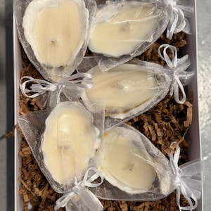 May include: Five white oyster shell candles, each individually wrapped in a sheer white organza drawstring bag with a ribbon tie, arranged inside a white rectangular box filled with brown shredded paper filler for protective cushioning.