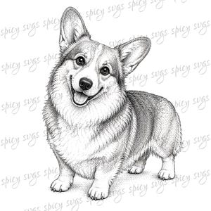 Può includere: Un'illustrazione in bianco e nero a tratto di un cane Corgi con grandi orecchie a punta e un'espressione felice, che presenta il testo filigranato ripetuto spicy svgs sull'immagine. Il disegno utilizza tratteggi dettagliati per il pelo.