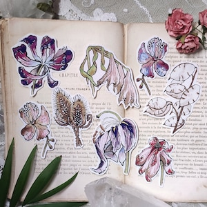 Set 8 fleurs fanées pack autocollants stickers bujo bullet journal witchy grimoire sorcière goth gothic halloween tournesol roses narcisse