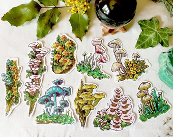 Set "fungi" 11 stickers mushrooms bujo bullet journal grimoire witchcraft pack bundle nature fall autumn forest cottage goblin core trees