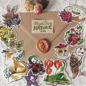 Mystery set stickers floral animal aune flore bujo bullet journal botanique fleurs végétal jardin nature pack autocollants greenwitch