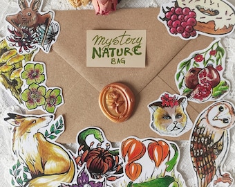 Überraschungsset mit Blumen- und Tieraufklebern, Erle, Flora, Bujo, Bullet Journal, Botanik, Blumen, Pflanzen, Garten, Natur, Aufkleberpackung, Greenwitch