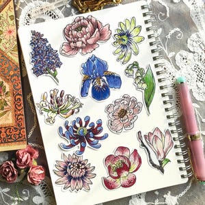 Set stickers "floral" 11 pc lot bujo bullet journal grimoire pack bundle fleurs printemps flore botanique illustration autocollants realiste
