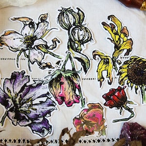 Set 8 fleurs fanées pack autocollants stickers bujo bullet journal witchy grimoire sorcière goth gothic halloween tournesol roses narcisse