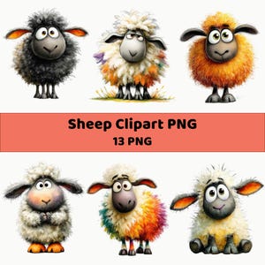 May include: A collection of six cartoon sheep illustrations featuring various colors including black, white, orange, and rainbow-patterned wool. The text Sheep Clipart PNG 13 PNG is displayed in the center. Each sheep has large eyes and dark faces.